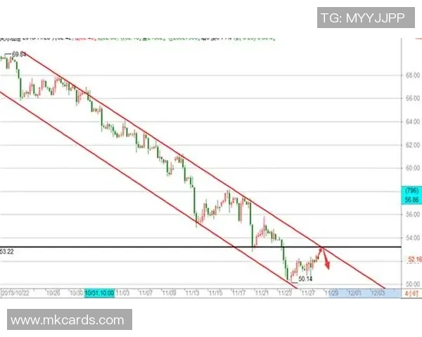 独家分析：北京篮球队的节奏对比
