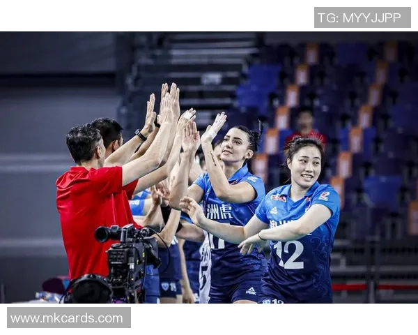 聚焦排球：深圳排球队的力量话题